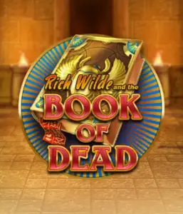 Embark on the thrilling world of Book of Dead by Play'n GO, featuring vivid graphics of Rich Wilde’s adventurous journey through ancient Egyptian tombs and artifacts. Find lost riches with captivating mechanics like free spins, expanding icons, and a gamble option. Ideal for adventure enthusiasts with a desire for unearthing secrets.